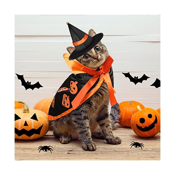 Potchen 5 pcs halloween vampire costume for cat, devil witch hat for cat, pet cat bat wings, cat pumpkin witch pet cape vampire costume for puppy cat cosplay dress up accessories - image 7