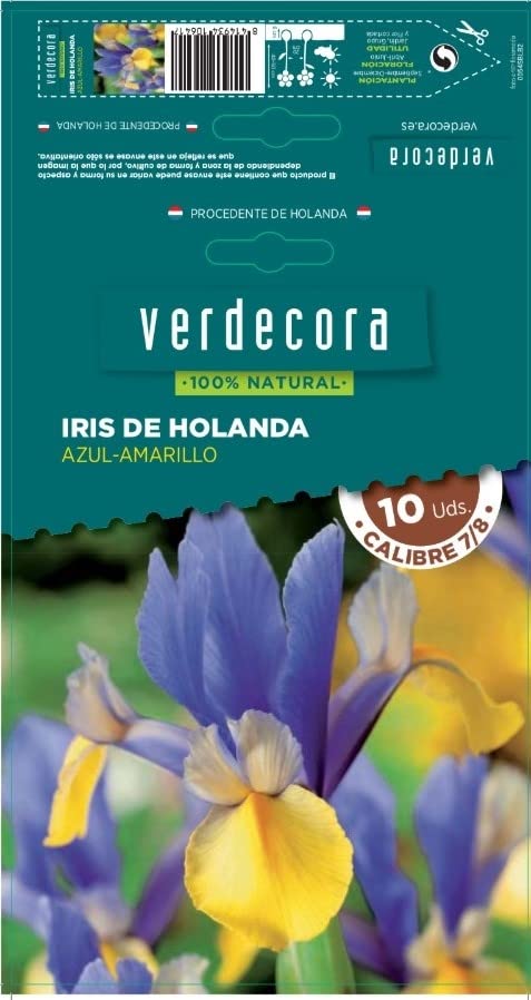 Verdecora Bulbo flor Iris de Holanda natural | Bulbo de Invierno | 10 unidades (PORTES INCLUIDOS) (Azul-Amarillo)