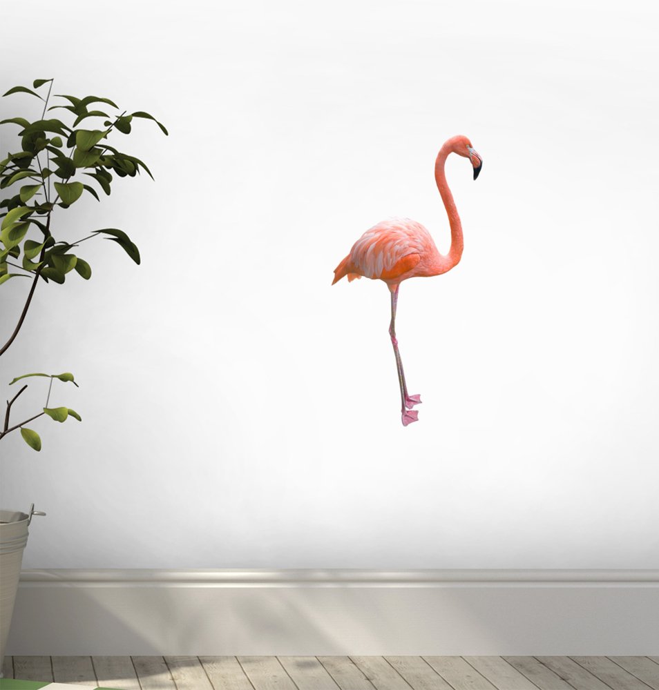 ウィング壁掛け♡サーモンピンク Amazon.co.jp: Wallmonkeys WM57430 Pink Flamingo Isolated on