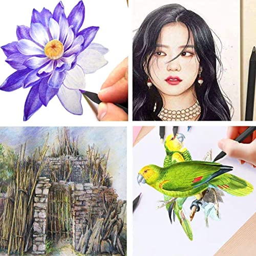 Surcotto 36 matite colorate, matite coloranti