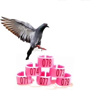 Anillo para Pata de Aves de Corral, Clip para Correa para pie de codorniz, se Adapta a Pollitos, gallos en Miniatura (10 Colores) 001-100 Rosa