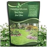 Outsidepride Annual Berseem Clover Seeds for Lawn - 10 lbs. High-Yield, Fast-Growing...