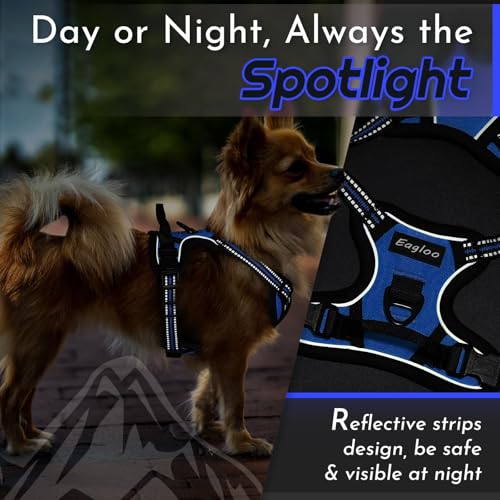Image of Eagloo Dog Harness for Small Dogs, No Pull Pet Vest with 2 Leash Clips