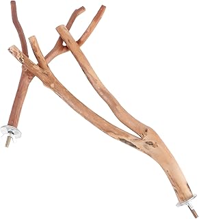 TEHAUX Parakeet Toys 2PCS Bird Parrot Perch Stand Set- Natural Wood Bird Parrot Stand Branches Fork Perch Rod Stand for Small Parakeets Budgies Cockatiels Conure Lovebirds Bird Cage Accessories 1