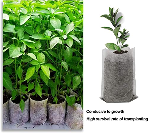 Augshy Sacos de cultivo, 400 unidades de sacos de plantas, sacos de berçário de plantas não tecidas,