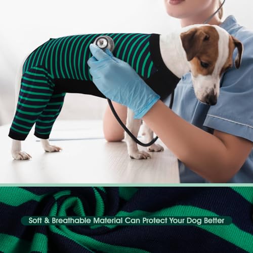 Kuoser Op Body Hund Kastration Rüde Hündin, Hundebody Nach Op mit Beinen Leckschutz Hund Hinterbein, Jumpsuit Hunde Alternative zum Halskragen,Grün M
