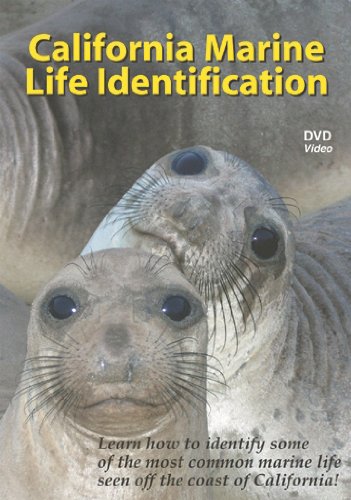 TRIDENT Calif Marine Life Id DVD