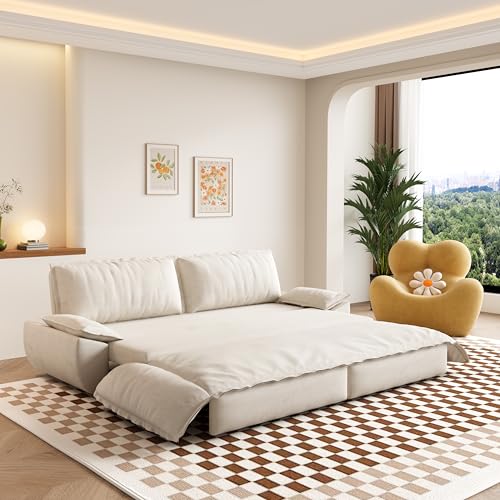 3 in 1 Multi-Functional Convertible Sleeper Sofa Bed, Queen Size Sleeper Loveseat with Pull Out Couch, Velvet Upholstered Futon Couch with Soft Armrest & Detachable Cloud Cushions for Living Room