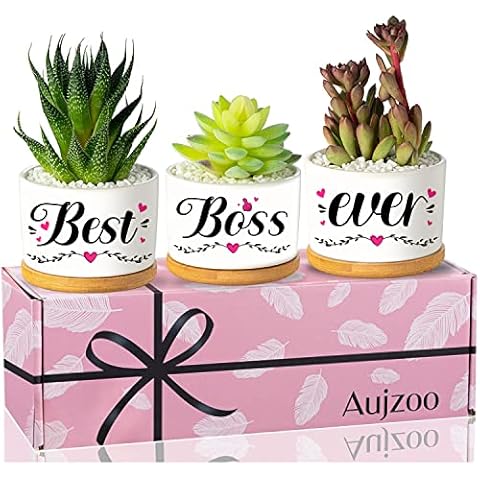 Boss Lady Gifts for Women ,Best Boss Gift Congratulations Gifts for Female Girl Boss Office Decor Planter Succulent Pots Cover