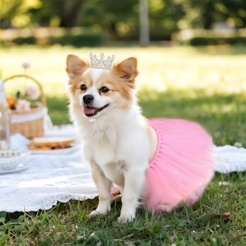 Disfraz para perro con tutu y corona de perlas miniatura 4