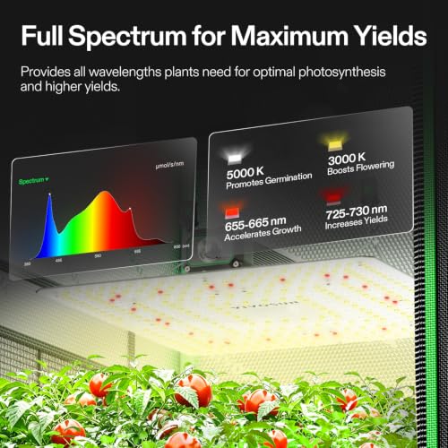 Image of VIVOSUN 2.3x2.3ft Grow Tent Kit 150W Light Complete Smart Grow System