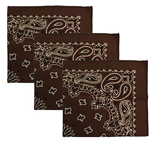 USA Made Military Army Trainmen Paisley 22 / Hav A Hank Paisley Bandana Made in USA (Brown - 3 Piece)