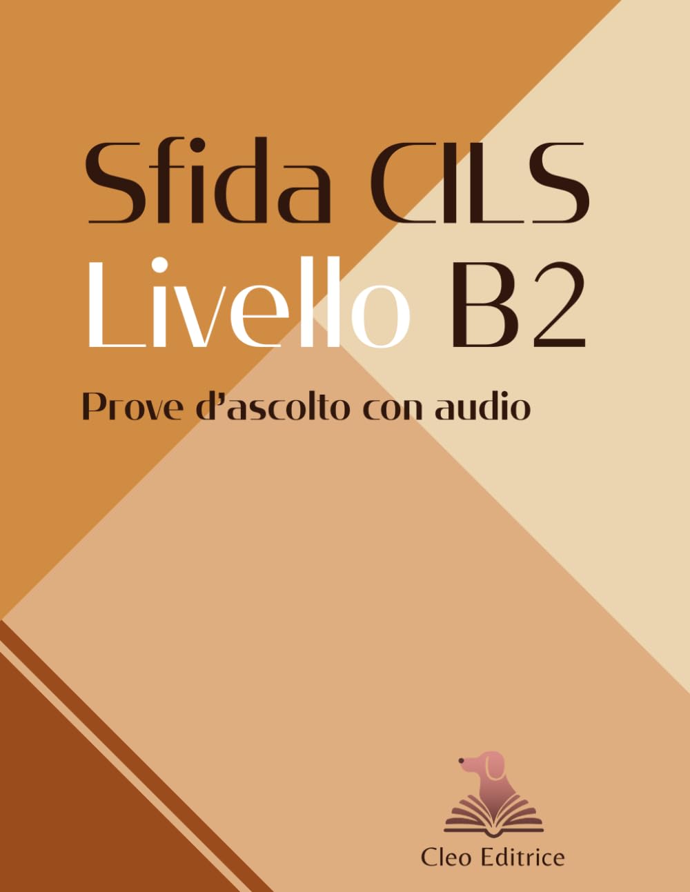 Sfida CILS B2: Simulazioni d'esame