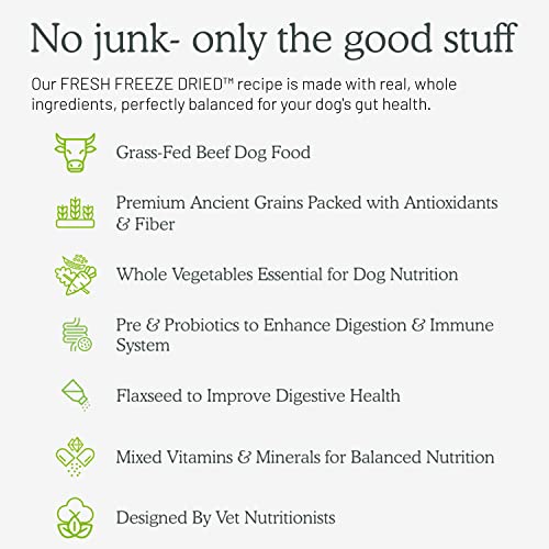 Intestine Well Being Recent Freeze Dried Uncooked Meal Beef Recipe 16 Ounce Bag Canine Meals for Canine of All Breeds and Life Phases Usda Beef Made in Usa  Cucciolini Doodles Intestine well being recent freeze dried uncooked meal beef recipe 16 ounce bag canine meals for canine of all breeds and life phases usda beef made in usa   cucciolini doodles