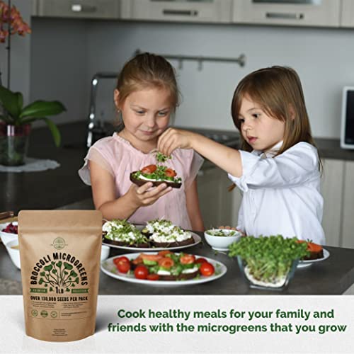 Broccoli & Beet Microgreens Seeds Bundle Non-Gmo Heirloom Seeds For Planting Indoor And Outdoor Over 150,000 Microgreen & Sprouting Seeds In One Value Bundle #TOP5