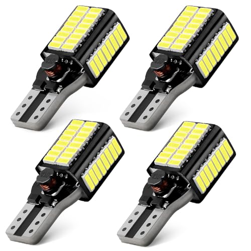 JEFLYM 4 Stück T/1/5 Weiß Glühbirne,12-24v DC-Glühbirne - für Outdoor Außenbeleuchtung, Landschaft Innenhofbeleuchtung