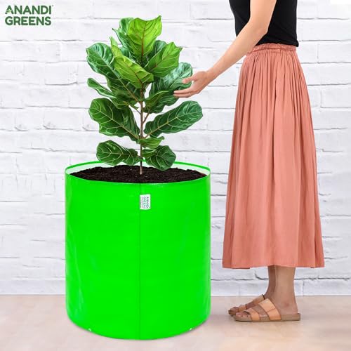 Image of Anandi Green's HDPE 24x24 Inch Pack of 2 Extra Large Grow Bag 260 GSM Round for Big Fruit Trees - Lemon, Guava, Papaya, Pomegranate, Banana | Tree Planter Pot for Terrace & Garden