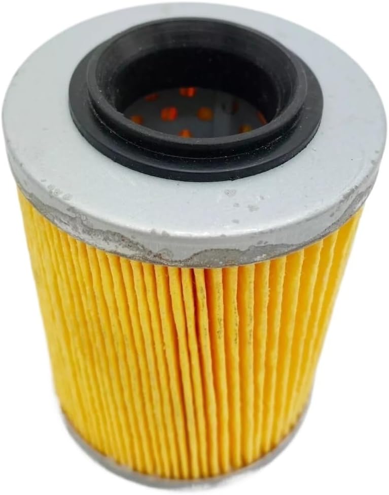 Naprawa motocykli Filtr olejowy dla HS800 dla HS1000 ATV UTV 800 1000 dla Hisun, dla Massimo, dla Colemana, dla Bennche, dla YS, dla HS, dla MSU.