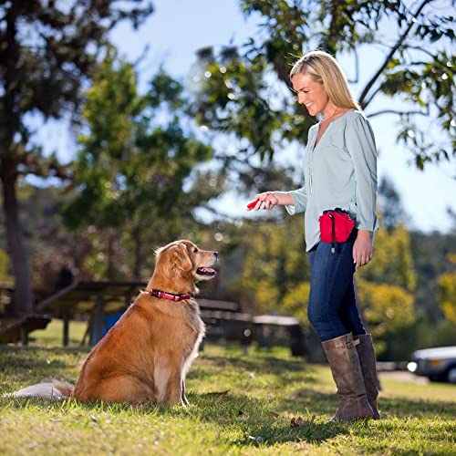 COMPANY OF ANIMALS Whizzclick, 2-in-1 kombinierter Clicker und Pfeife, Hundetrainingspfeife für Rückruf- und Clickertraining zur Belohnung, verstellbares und reflektierendes Trageband, für alle Hunde