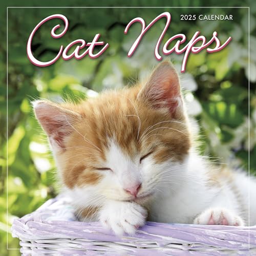 Calendario 2025 Cat Naps Mini el regalo perfecto para los entusiastas de las mascotas