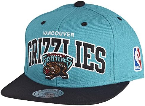 vancouver grizzlies snapback mitchell and ness
