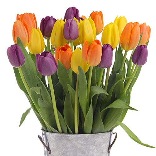 Stargazer Barn- Fall Harvest Bouquet With Vase - 30 Stems of Orange, Yellow, and Purple Tulips