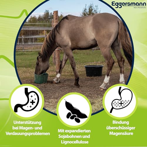 Eggersmann Mein Pferdefutter E-Vet mucOstat 3 kg - Ergänzungsfutter für Pferde - Ideal bei Verdauungsstörungen, Magen- & Darmproblemen - Pferdefutter mit prebiotischem Topinamburkonzentrat