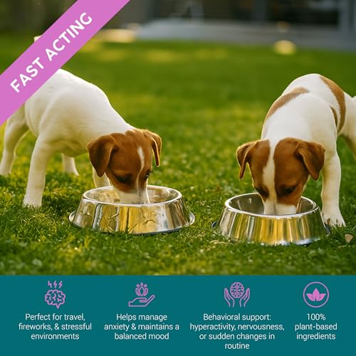 Zanipro Valerian Dog Calming Drops - 100% Natural Herbal Dog Anxiety Relief Calmer, Skullcap and Valerian Drops for Dogs, Use for Stress, Separation, Sleep & Fireworks Calming for Dogs | 50ml - Image 3