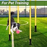 Rainmae Slalomstangen Fussball Set Slalom Poles 4 Slalom Stangen mit Federgelenk Sprunghafte für Koordinationstraining, Slalom, Fußball, Hundesport Gelb 150 cm