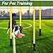 Rainmae Slalomstangen Fussball Set Slalom Poles 4 Slalom Stangen mit Federgelenk Sprunghafte für Koordinationstraining, Slalom, Fußball, Hundesport Gelb 150 cm