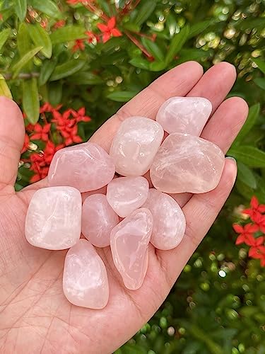 Image of 1 /2 LB Rose Quartz Tumbled Stones, Polished Rose Quartz Gemstone, Rose Quartz Healing Crystals (Rose Quartz)