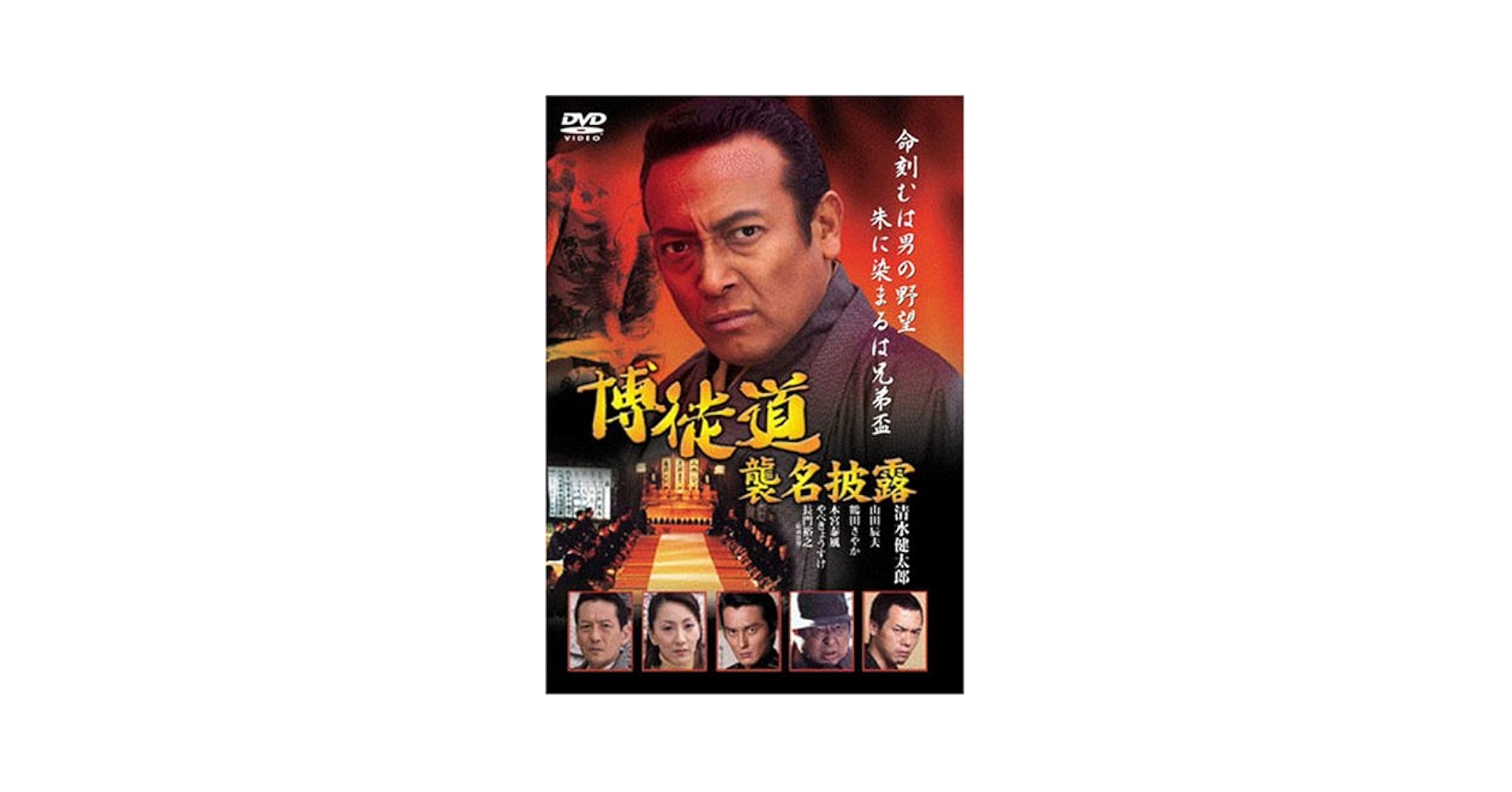 DVD 「王向齋直系 姚承栄老師　意拳 六大秘訣」6巻セット DVD 意拳 六大秘訣 第6巻