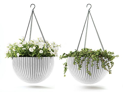 Best White Planters