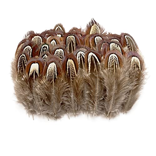 50 pcs Natural Pheasant Plumage Feathers 2-3 Inches Plumage Feathers for Sewing Crafts Clothing Decorating Accessories -Nature