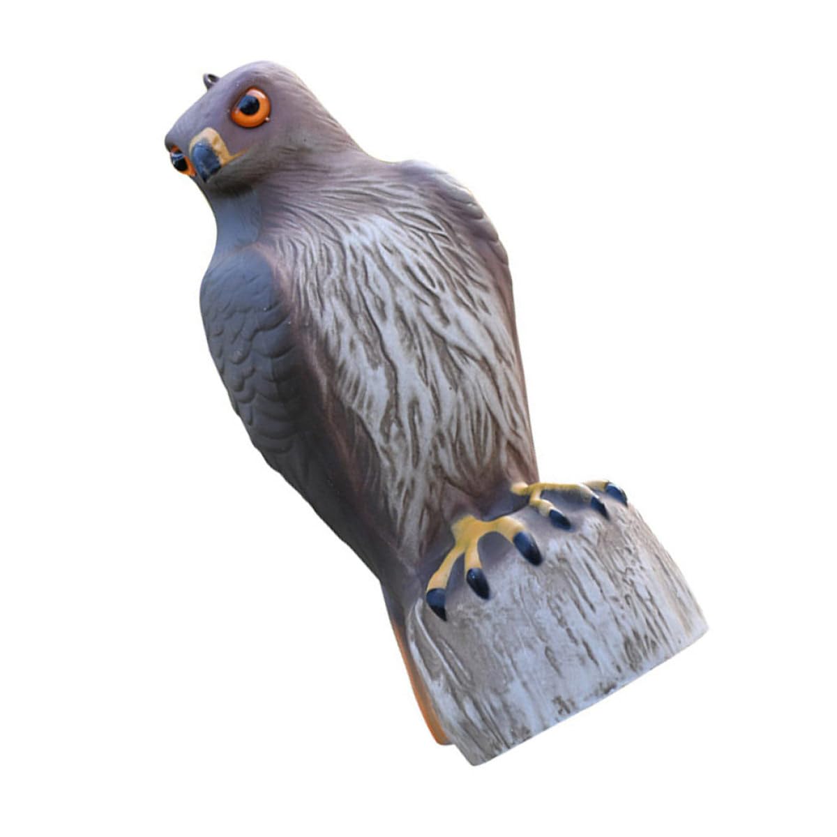 Aigle à queue rouge déco balcon pour éloigner les oiseaux de la maison