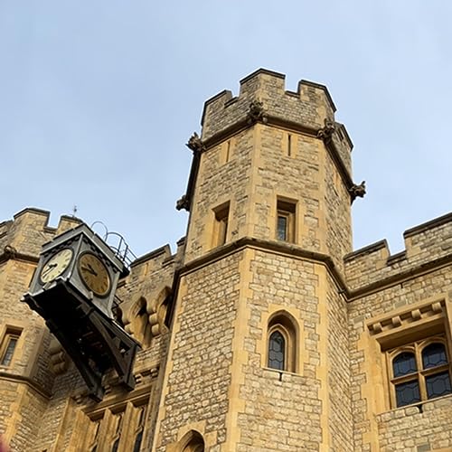 Couverture de Royal History With Riley