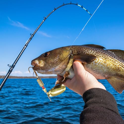 mizikuu Angelköder Crankbait, 10 Stück Kunstköder Spinner Blinker Set Mehrfarbige Spinner Angeln Löffel Köder mit Box Blinker Angeln Set für Forelle Hecht Bass Lachs Fischen