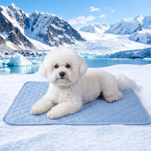 PatiencET Dog Cooling Mat 22 x 28 in No-Gel Cooling Pad for Small Dogs Puppies and Cats Cool Touch Nylon Pet Mat Washable Summer Dog Mat for Crate Floor Sofa Car Blue