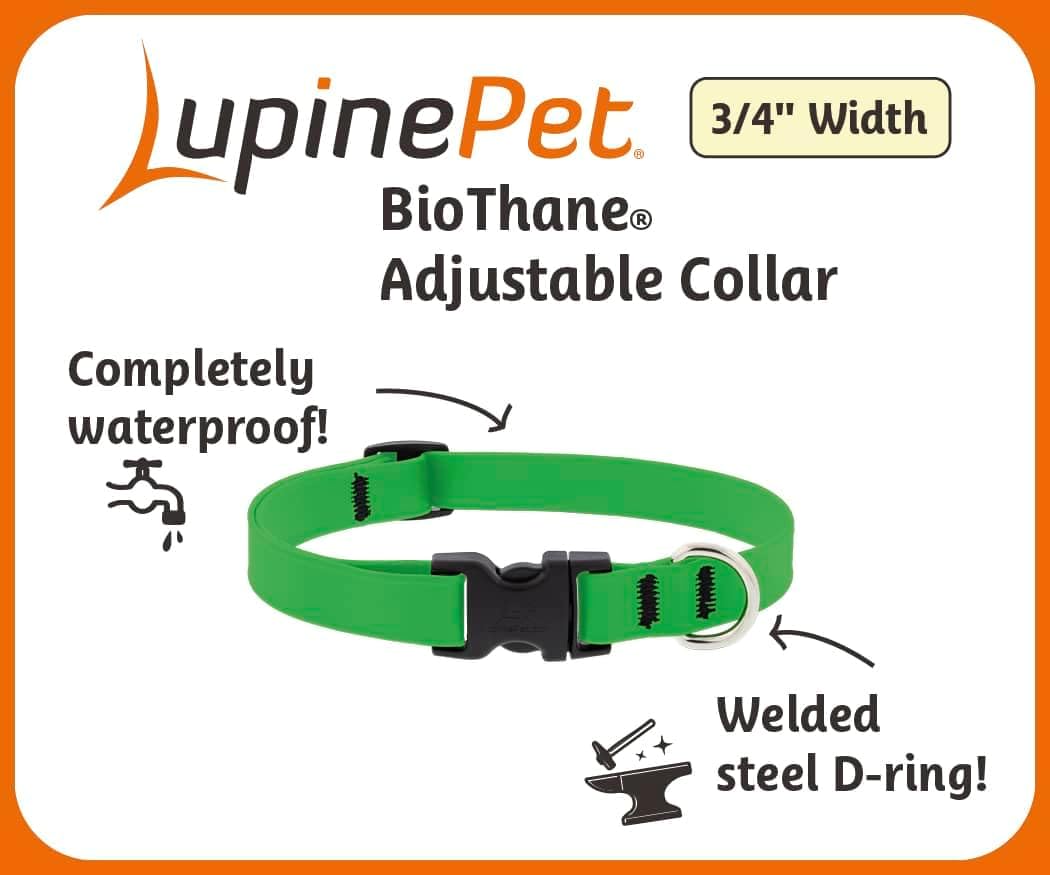 LupinePet Waterproof Splash Dog Collar, Jet Black, 3/4-inch Wide, adjusts 15-25", Made with BioThane