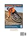Prepare to Pin It: A smart approach to mountain bike fitness (Lee Likes Bikes training series)