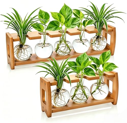 Pumtus 2 Pack Plant Propagation Stations Desktop Plant Terrarium with Wooden Stand Water Propagation Station Hydroponic Plants Vase with 8 Glass Bulbs Small Propagated Plant Jar for Home Office