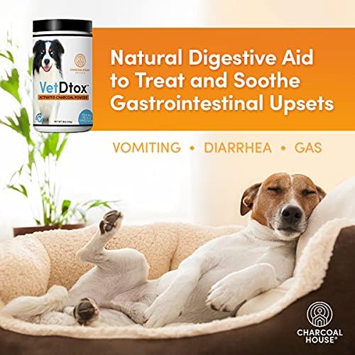 Are Charcoal Pills Safe For Dogs