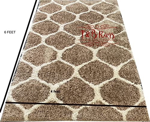 Image of F & B RUGS ; SUPERIOR QUALITY PRODUCTS Luxurious Luck High Density Thick & Soft Shaggy Carpet Plain Fur Rugs For Bedroom Living Room Feet Microfiber 2 Inch Pile Height Modern 4X6 Feet, Rectangular
