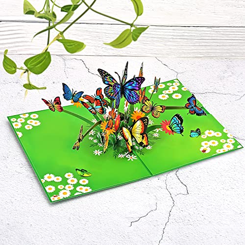 2Pcs Pop Up Cards By Milolo,Cards For Women,Pop Up Flower Cards,Hummingbird And Butterfly Cards,3D Pop Up Cards,Pop Up Birthday Card For Thank You,Thinking Of You,Sympathy,Birthday,Mothers,Sister,Grandmothers, Wift Or Girlfriends #TOP2
