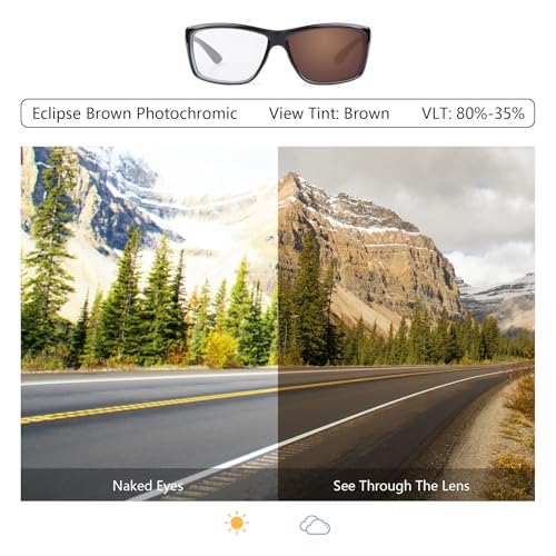 Image of Bowyer Replacement Lenses for Ray-Ban Stories Wayfarer L RW4004 53mm Sunglasses