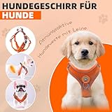 Hundegeschirr mit Hundeleine Set, Air-Mesh Atmungsaktiv Brustgeschirr für Kleine, Mittelgroße Hunde & Welpen, Weich Gepolstert Einstellbar Reflektierend Geschirr (Orange, XS)