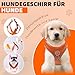 Hundegeschirr mit Hundeleine Set, Air-Mesh Atmungsaktiv Brustgeschirr für Kleine, Mittelgroße Hunde & Welpen, Weich Gepolstert Einstellbar Reflektierend Geschirr (Orange, XS)