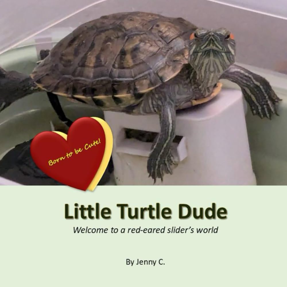 Little Turtle Dude: Welcome to a red-eared slider's world