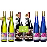 Selección de vinos de La Tierra de Castilla con Identificación geográfica protegida