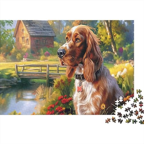 Rompecabezas de 1000 piezas con motivo de Springer Spaniel, gran tamaño para decorar tu pared